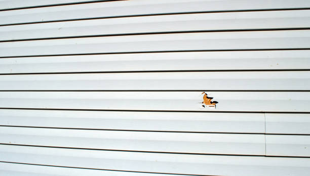 Best Insulated Siding Installation  in Ocean Acres, NJ